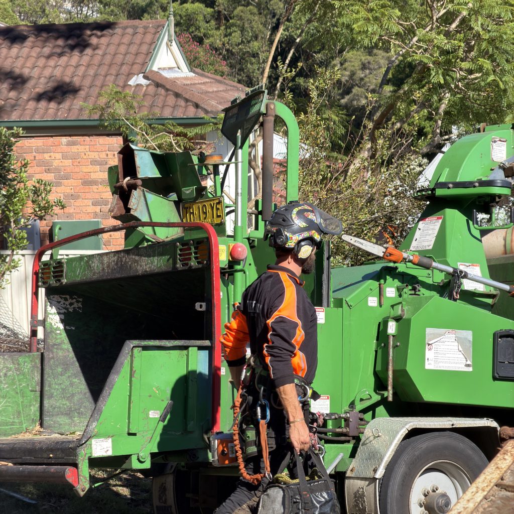 Arbor Earth equipment and machinery in operation