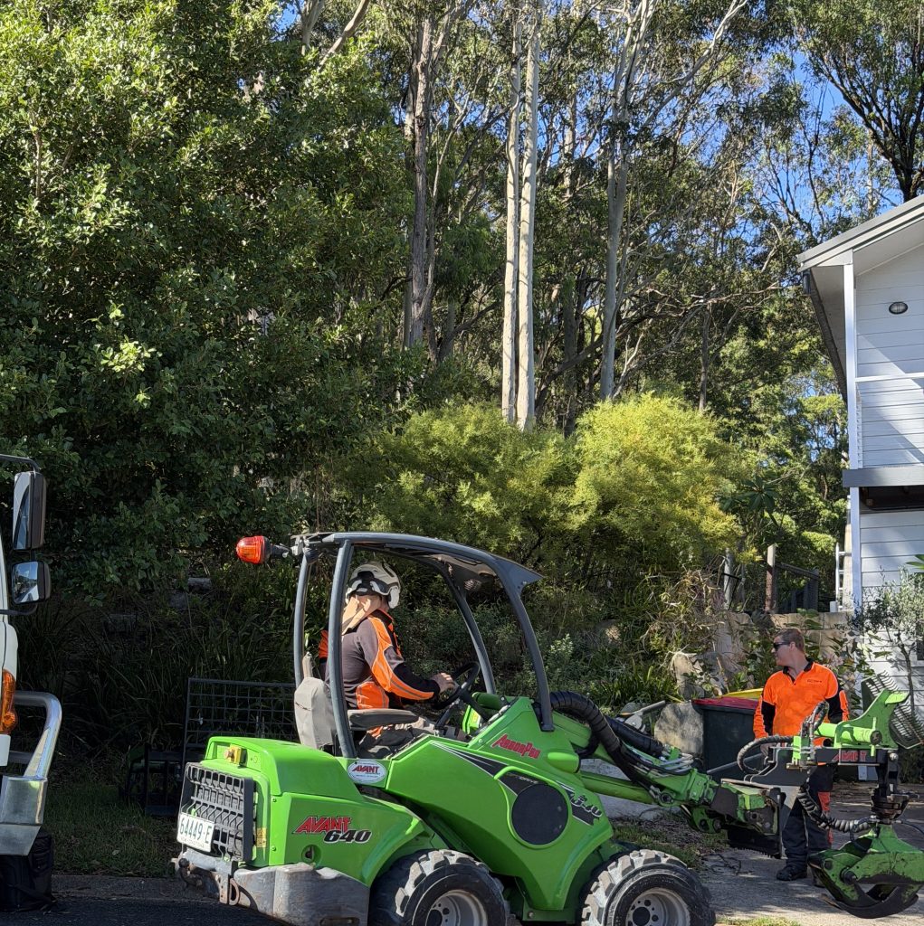 Arbor Earth equipment and machinery in operation