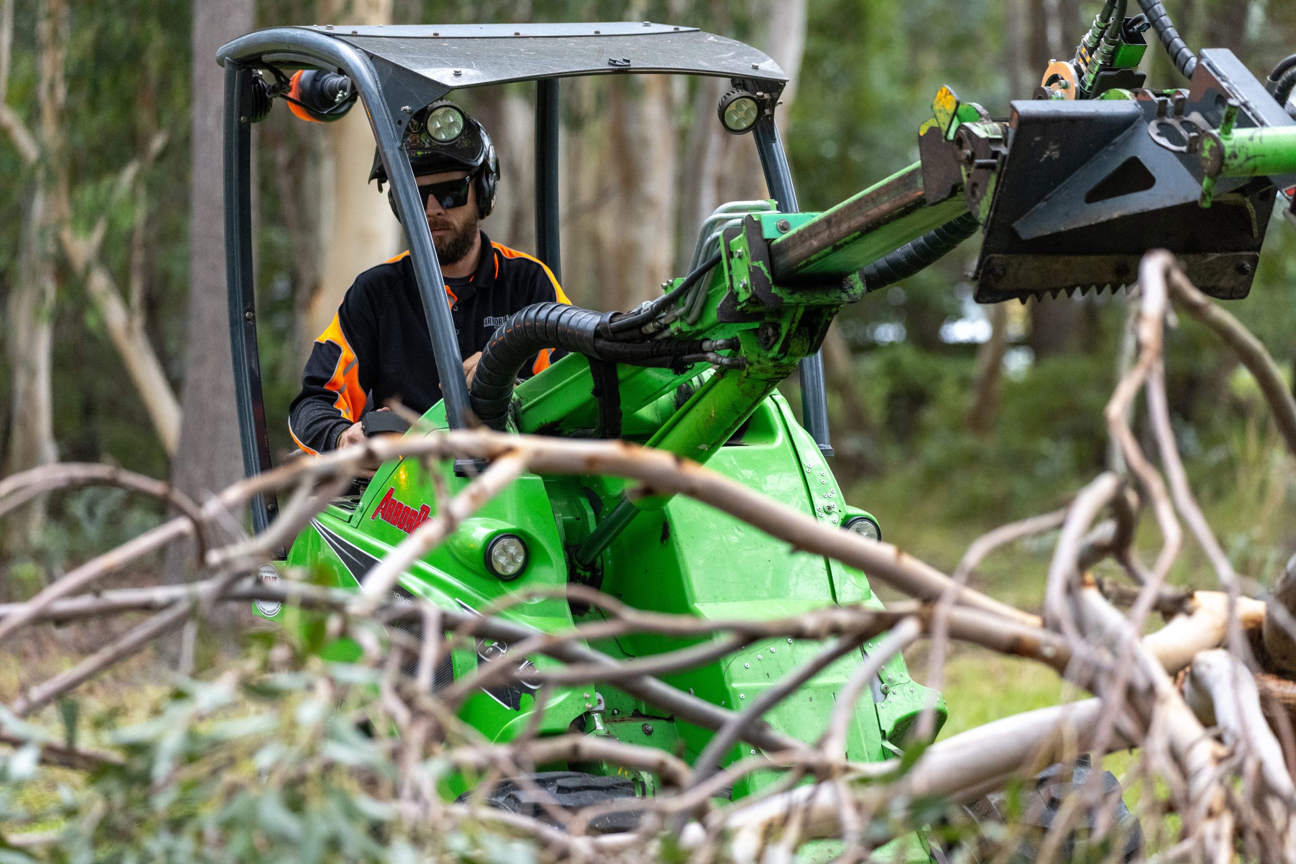 Arbor Earth professional tree services team at work