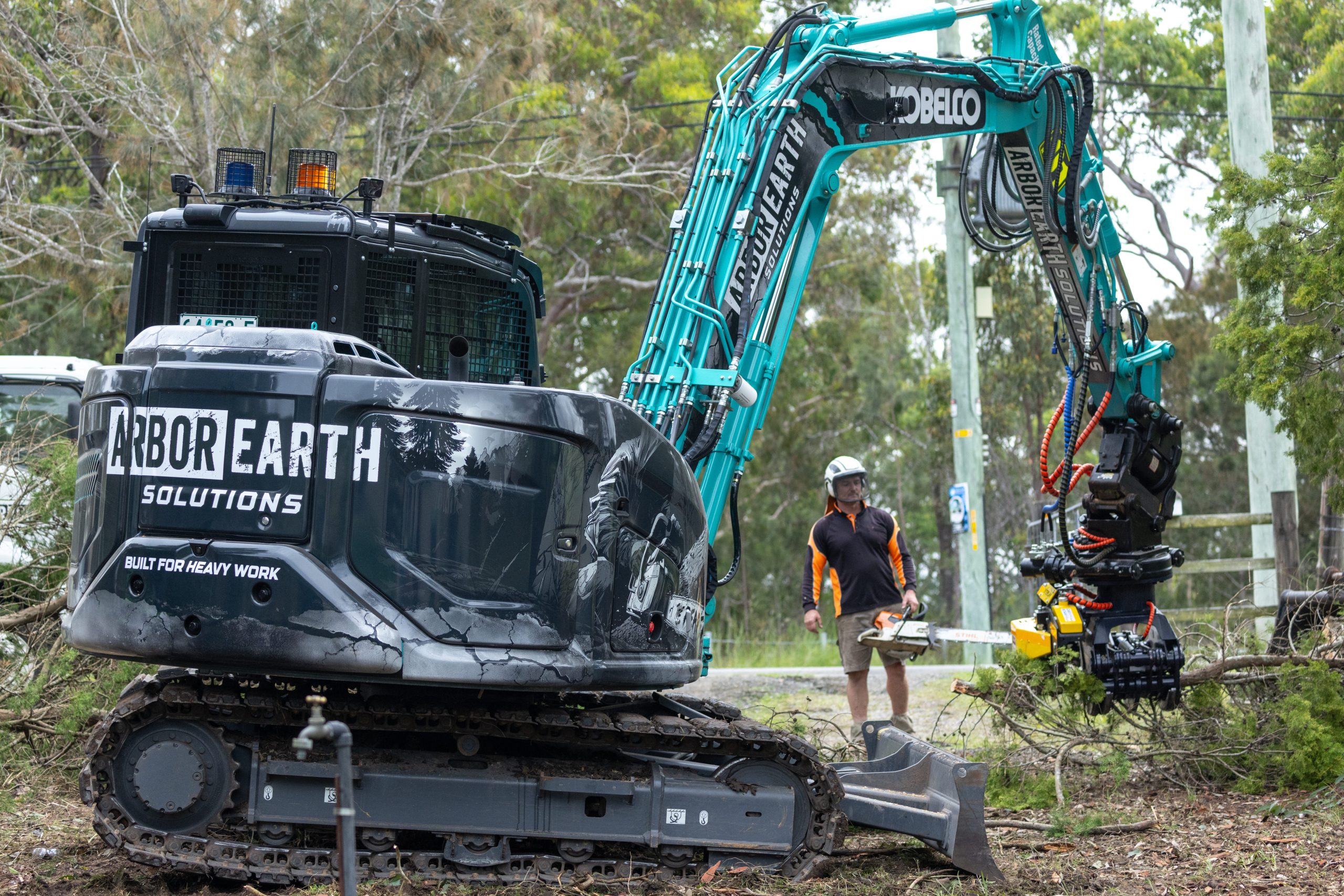 Professional tree removal equipment and crew