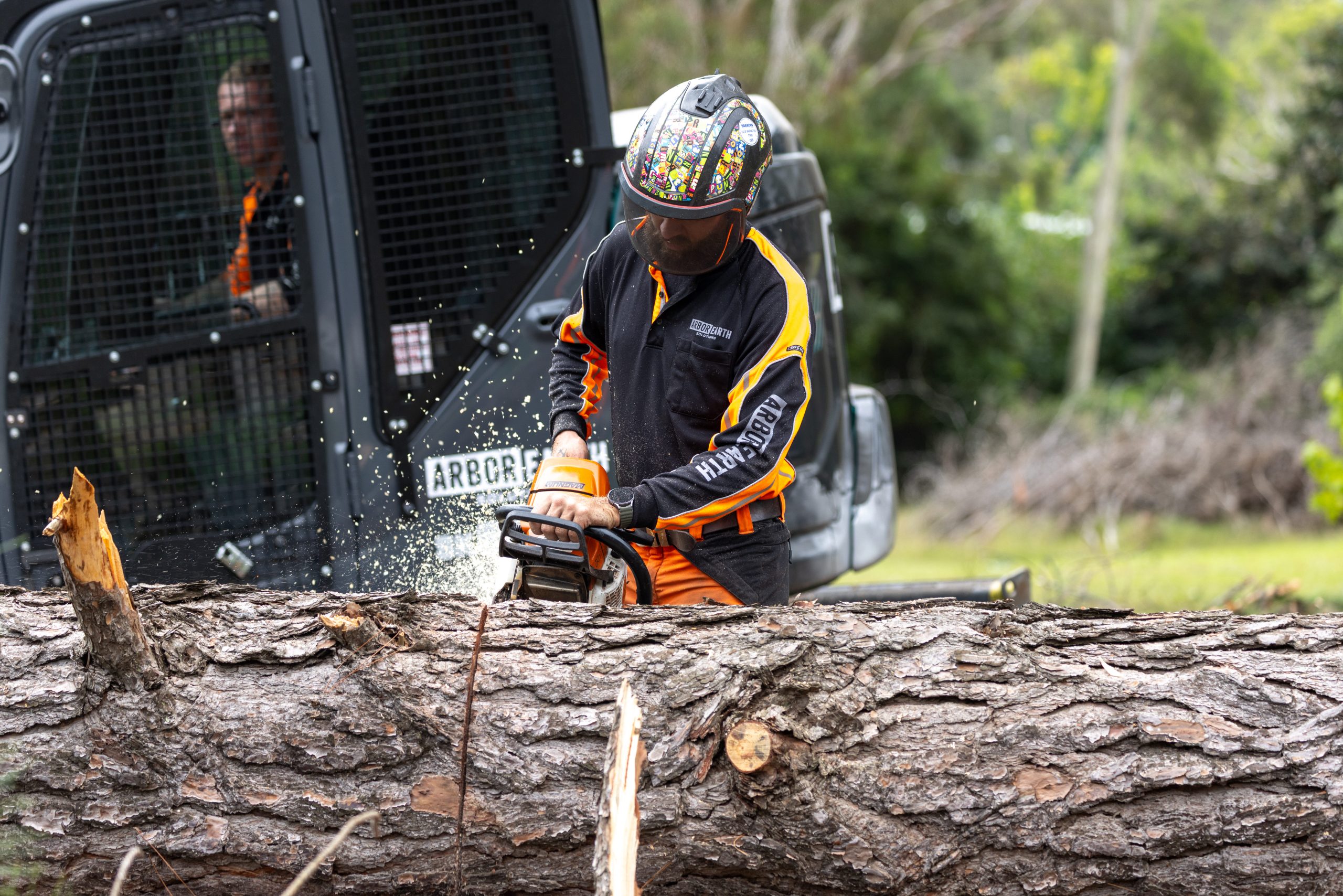 Arbor Earth professional tree services team at work