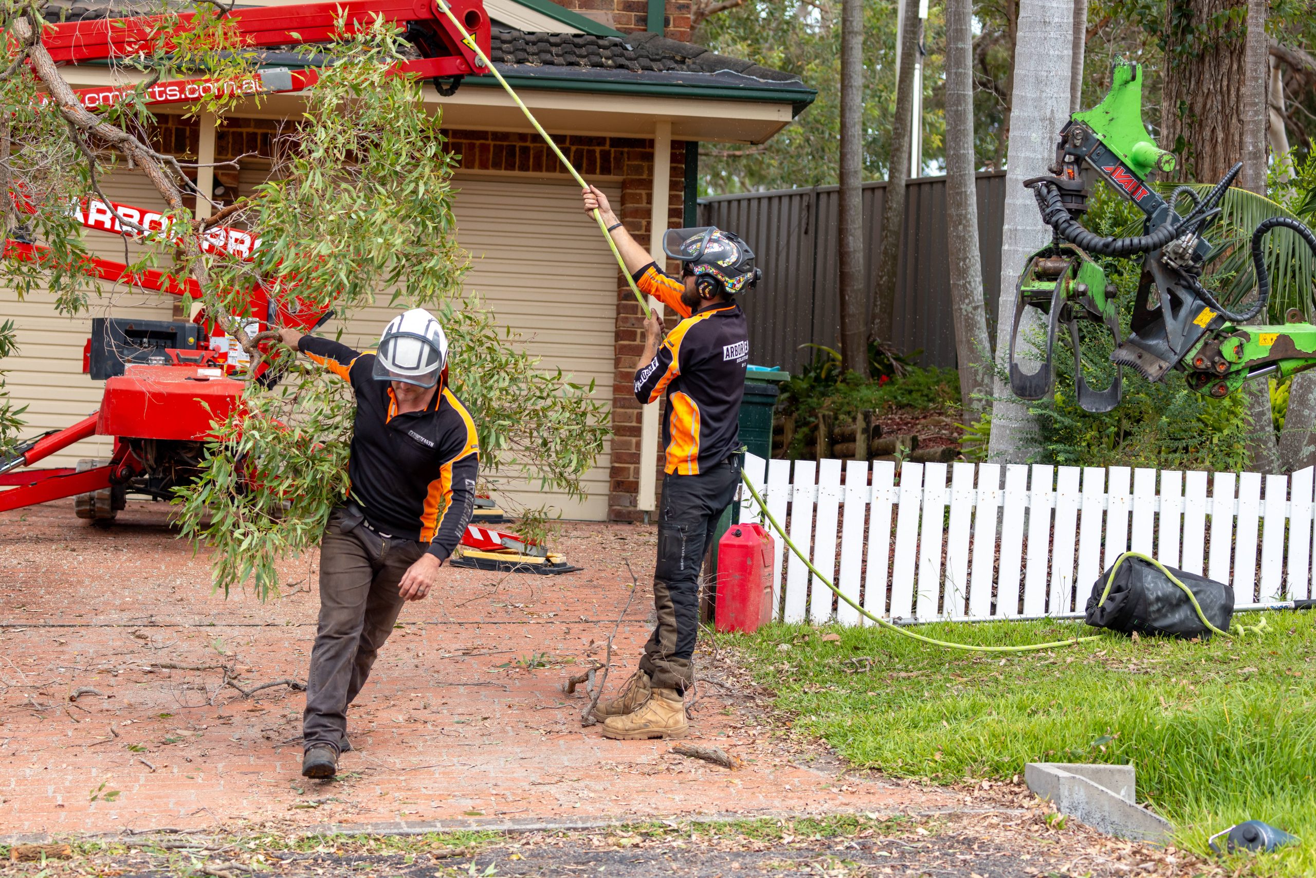 Professional tree removal equipment and crew