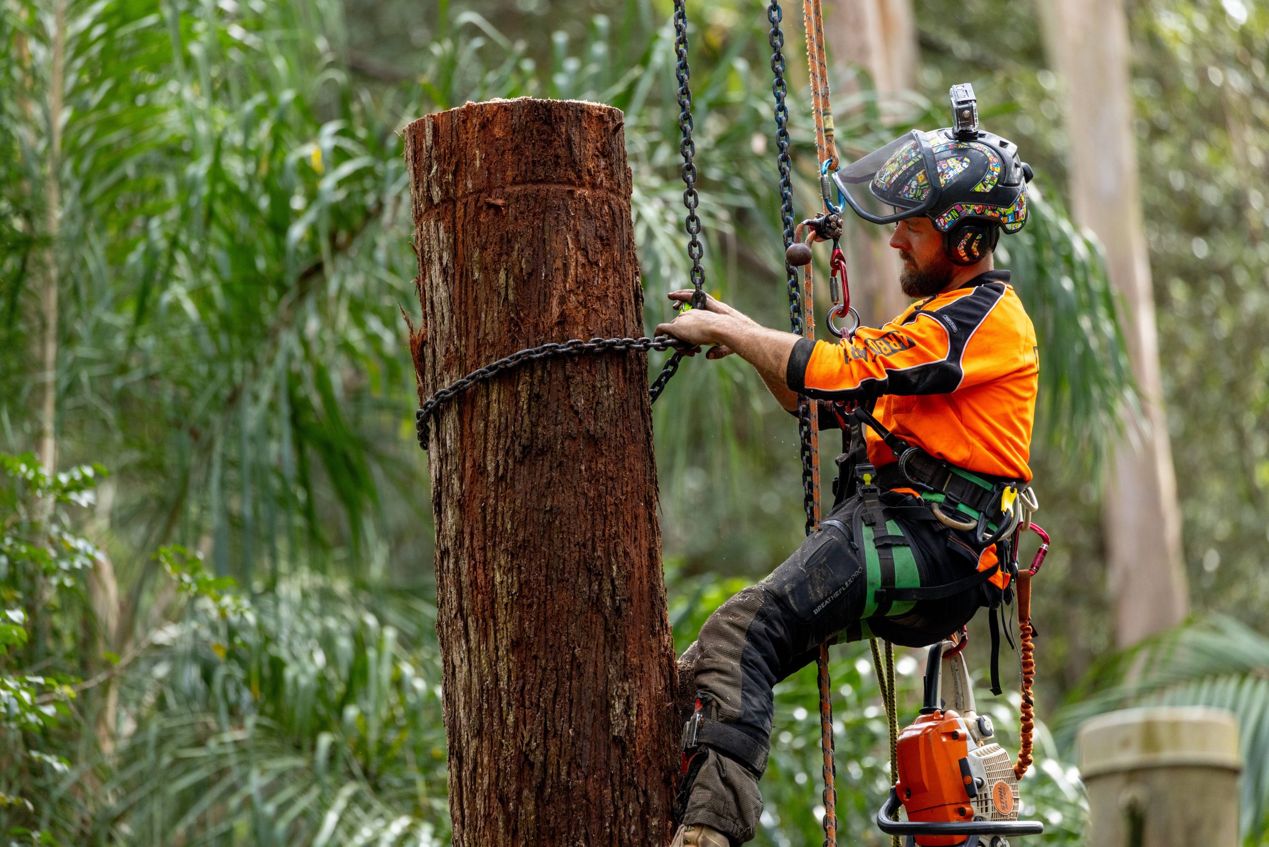 Arbor Earth professional tree services team at work