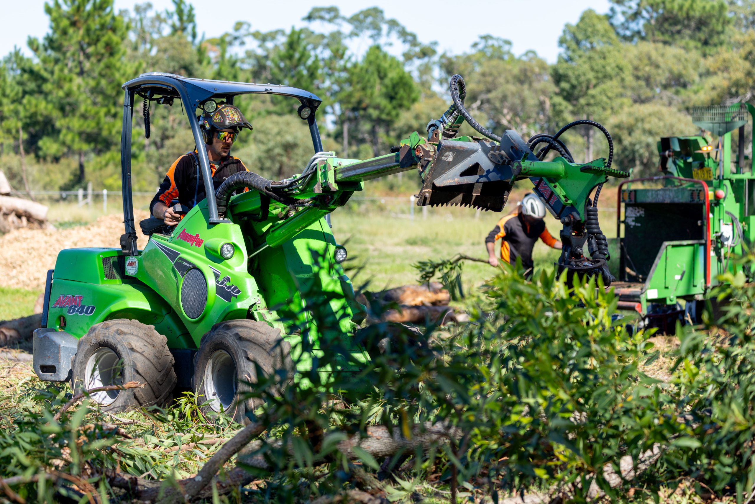 Arbor Earth professional tree services team at work