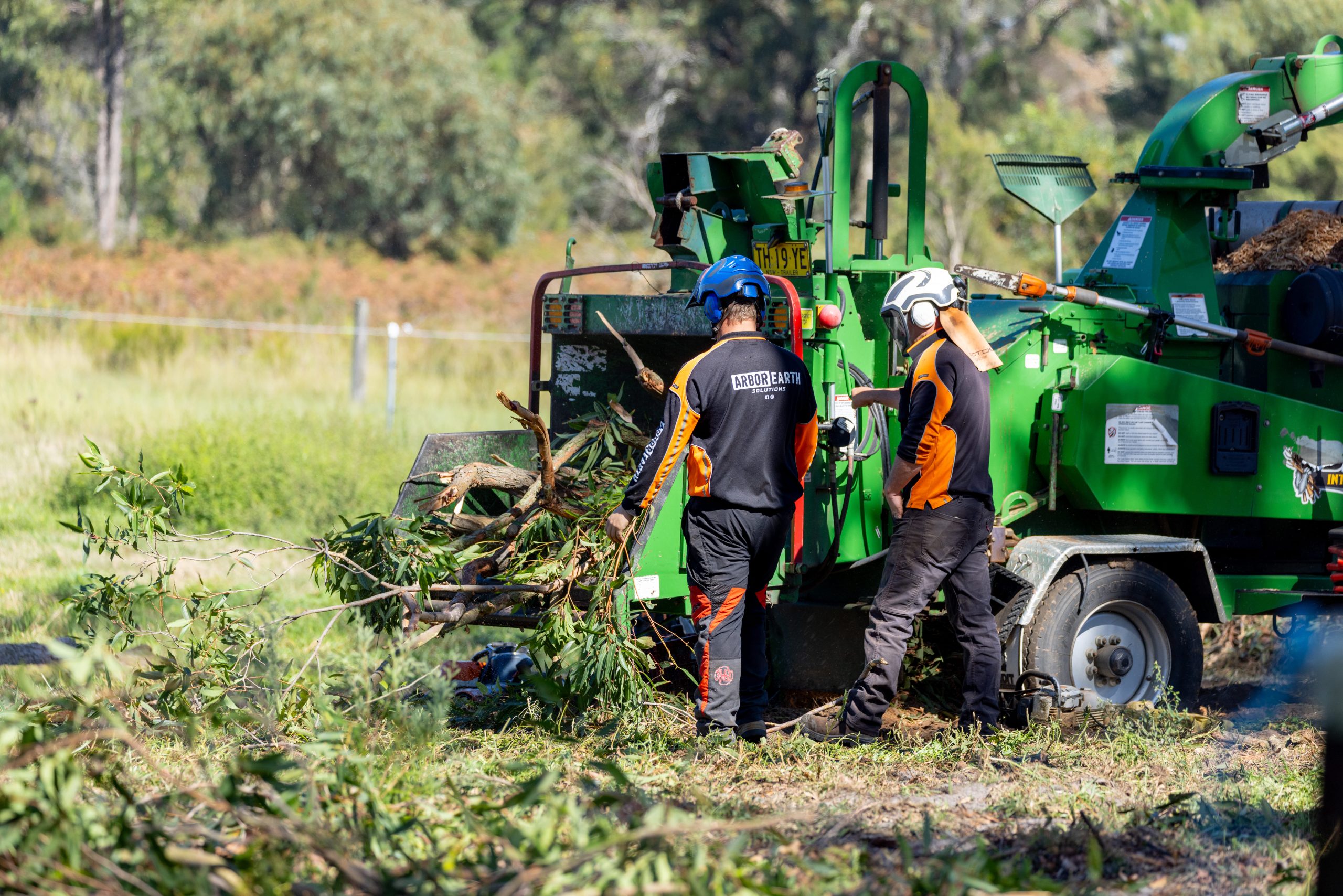 Arbor Earth professional tree services team at work