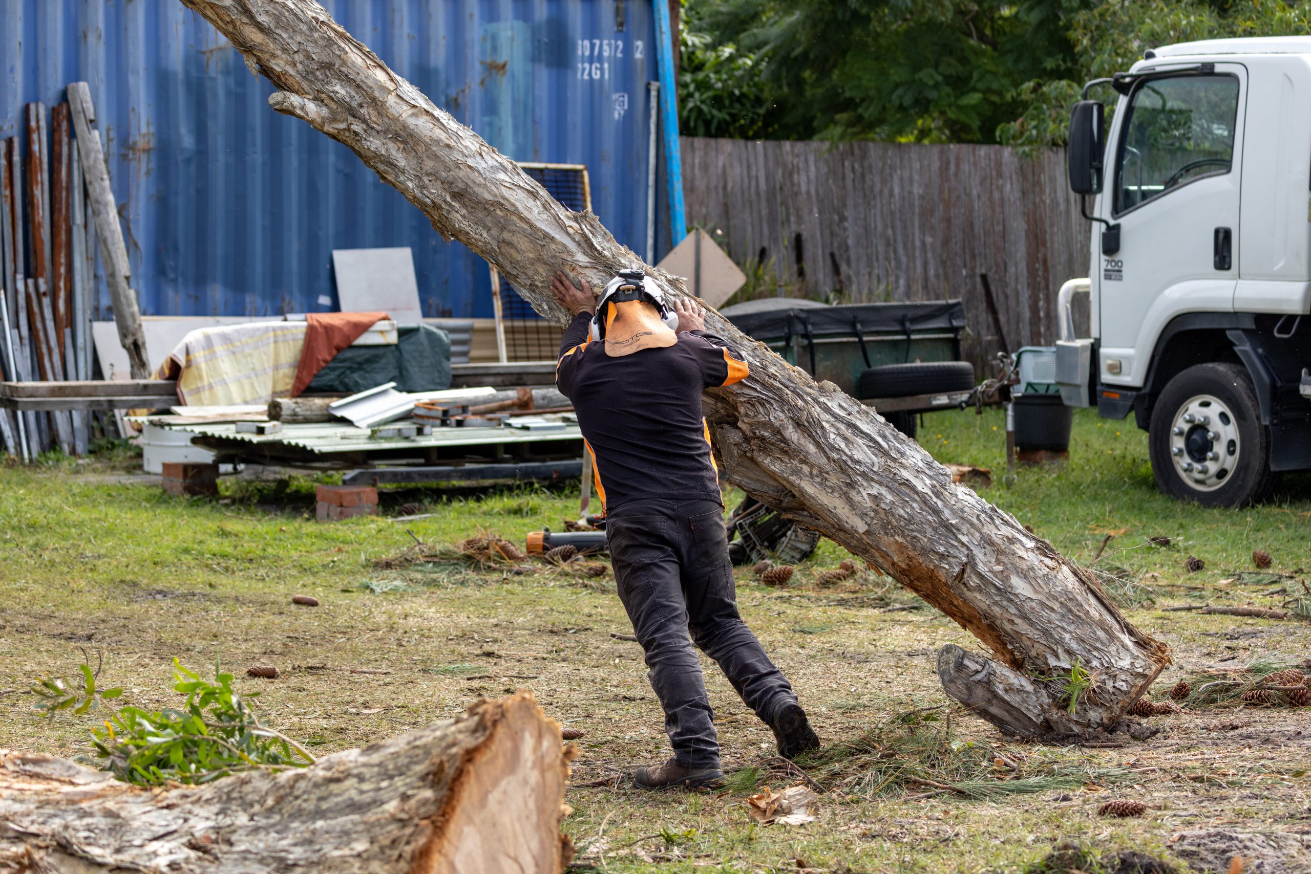 Arbor Earth professional tree services team at work