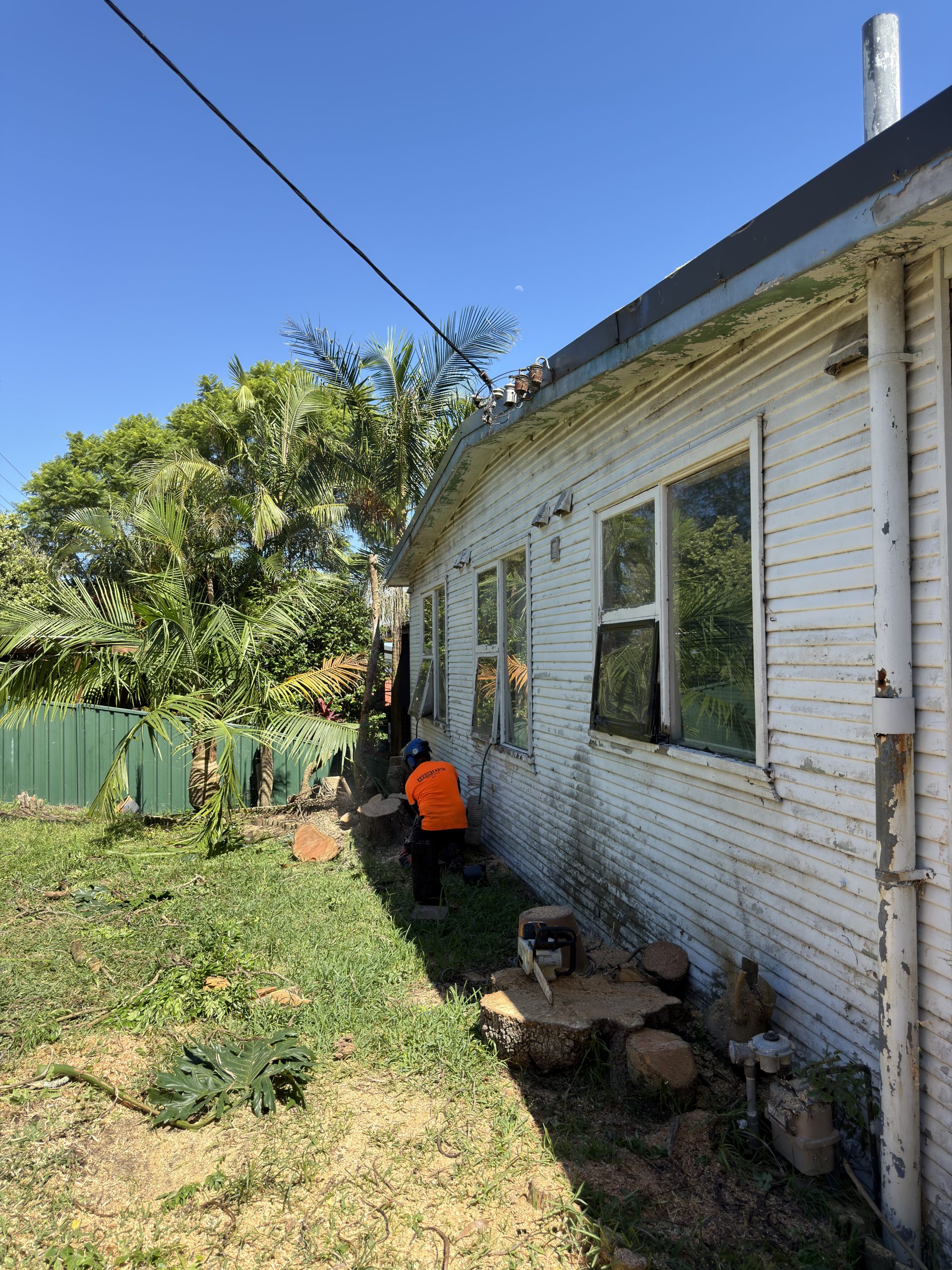 Arbor Earth professional tree services team at work