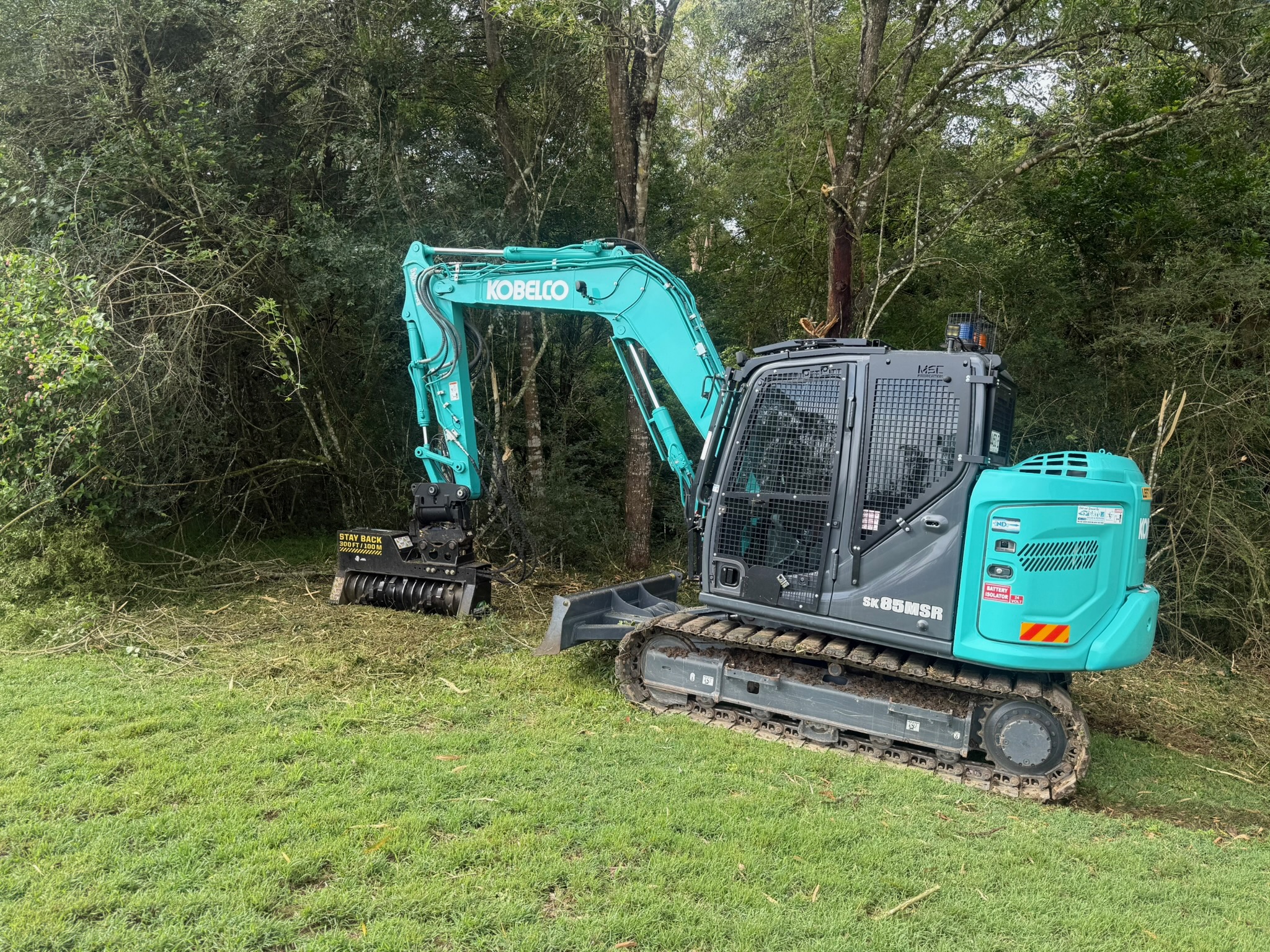 Professional tree removal equipment and crew