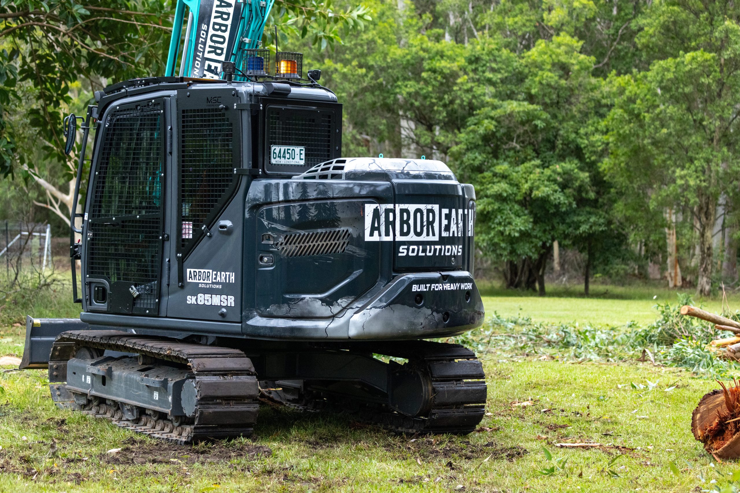 Professional tree removal equipment and crew