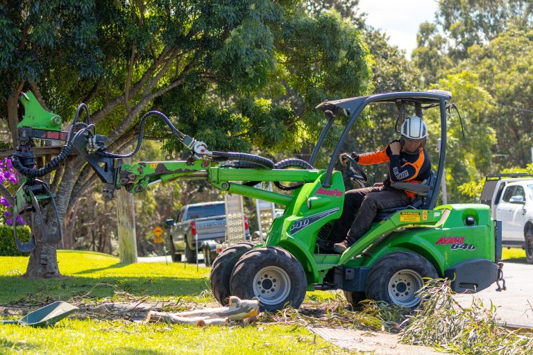 Arbor Earth professional tree services team at work