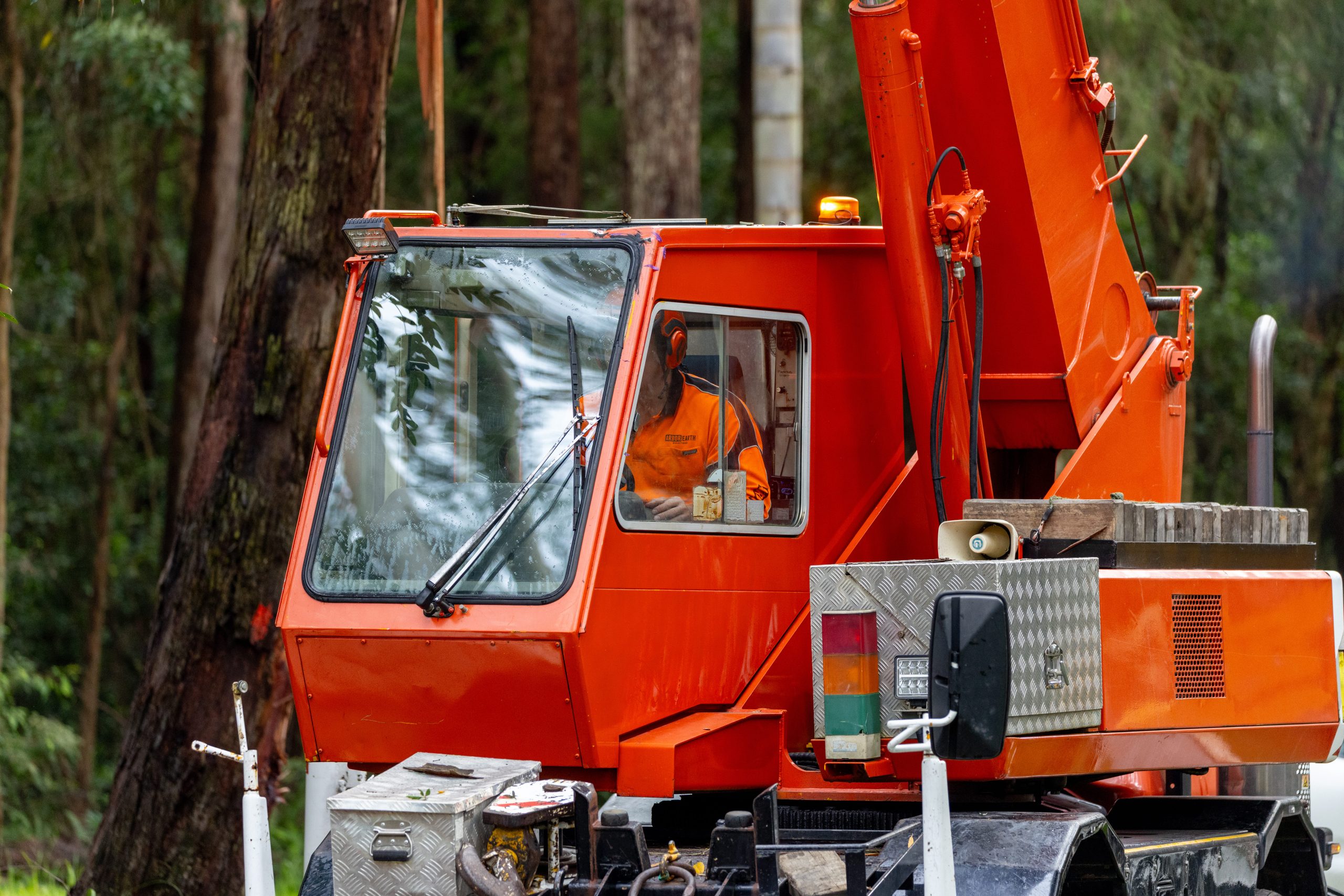 Professional tree removal equipment and crew